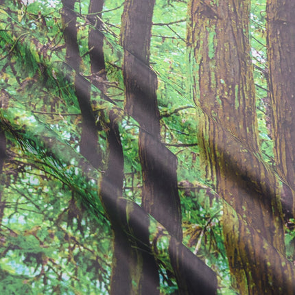 Zasłona balkonowa z motywem lasu